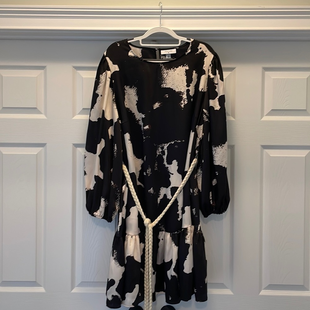 Alexis for Target - Romantic Long Sleeve Rope Belt Dress, 2X